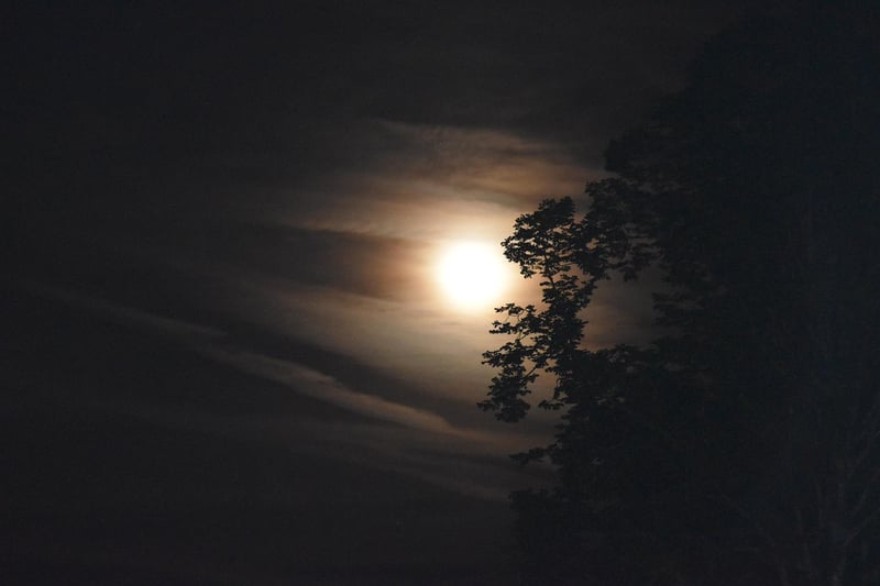Moonlit Beaches